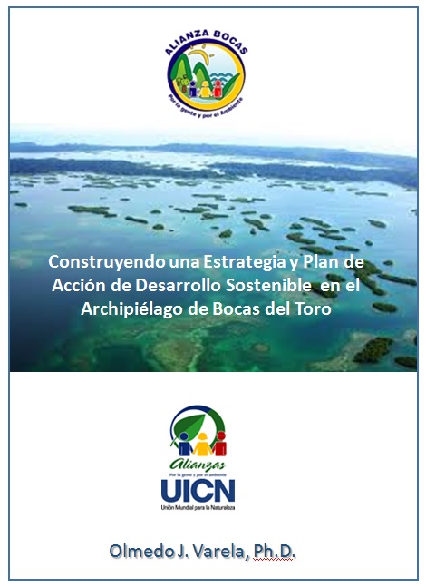 construyendo estrategia